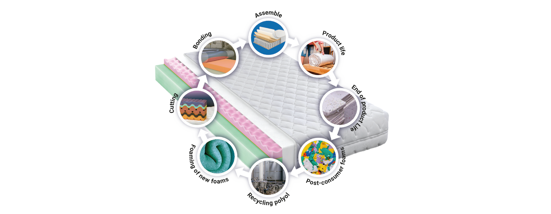 SIMALFA® 单一材料胶粘剂 9 SIMALFA® 单一材料胶粘剂 | 8